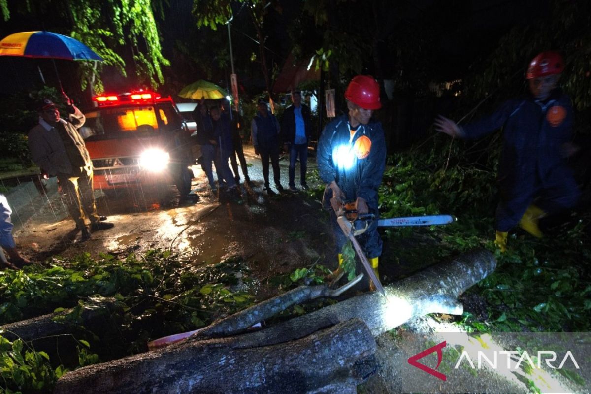 Pj Wali Kota Kendari imbau warga waspada bencana diakibatkan hujan deras