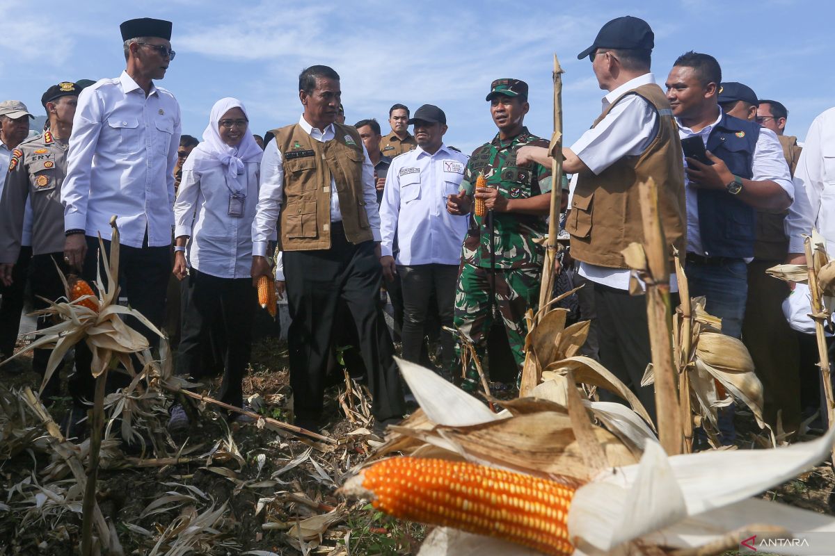 Mentan ingatkan akses pupuk bersubsidi untuk petani tidak dipersulit