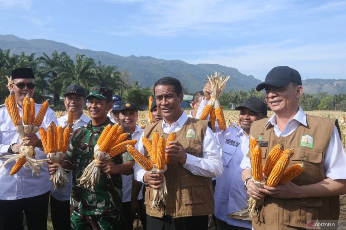 Mentan optimistis Indonesia bakal kembali bisa ekspor jagung
