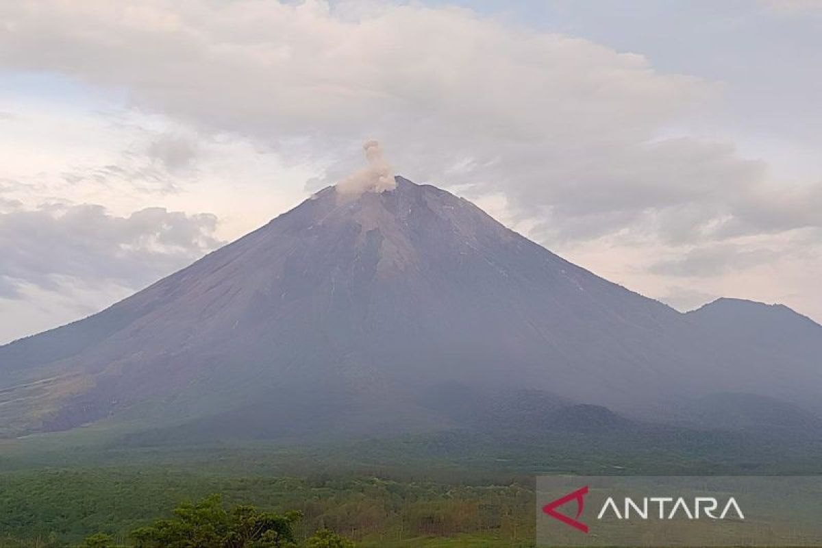 Gunung Semeru luncurkan abu vulkanik setinggi 500 meter
