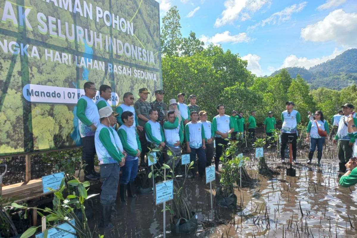 1.500 bibit mangrove ditanam di kawasan Taman Nasional Bunaken