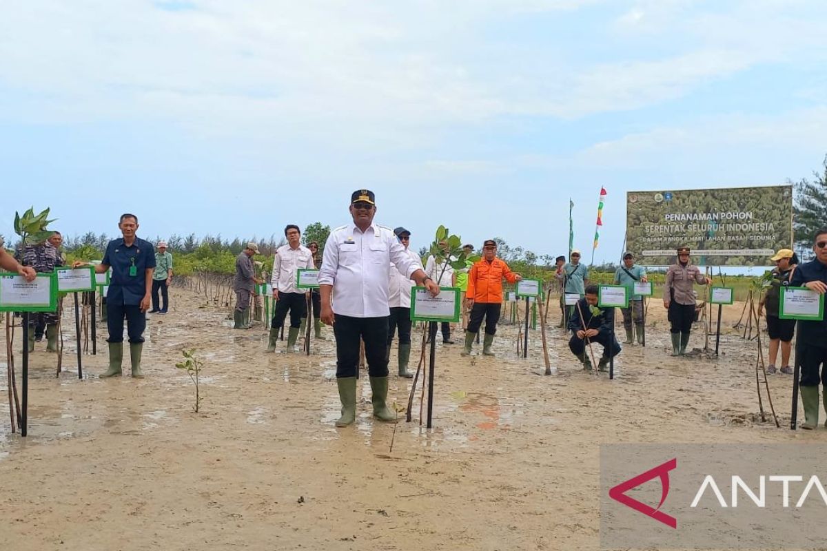KLHK: Babel berhasil rehabilitasi hamparan mangrove 70 hektare