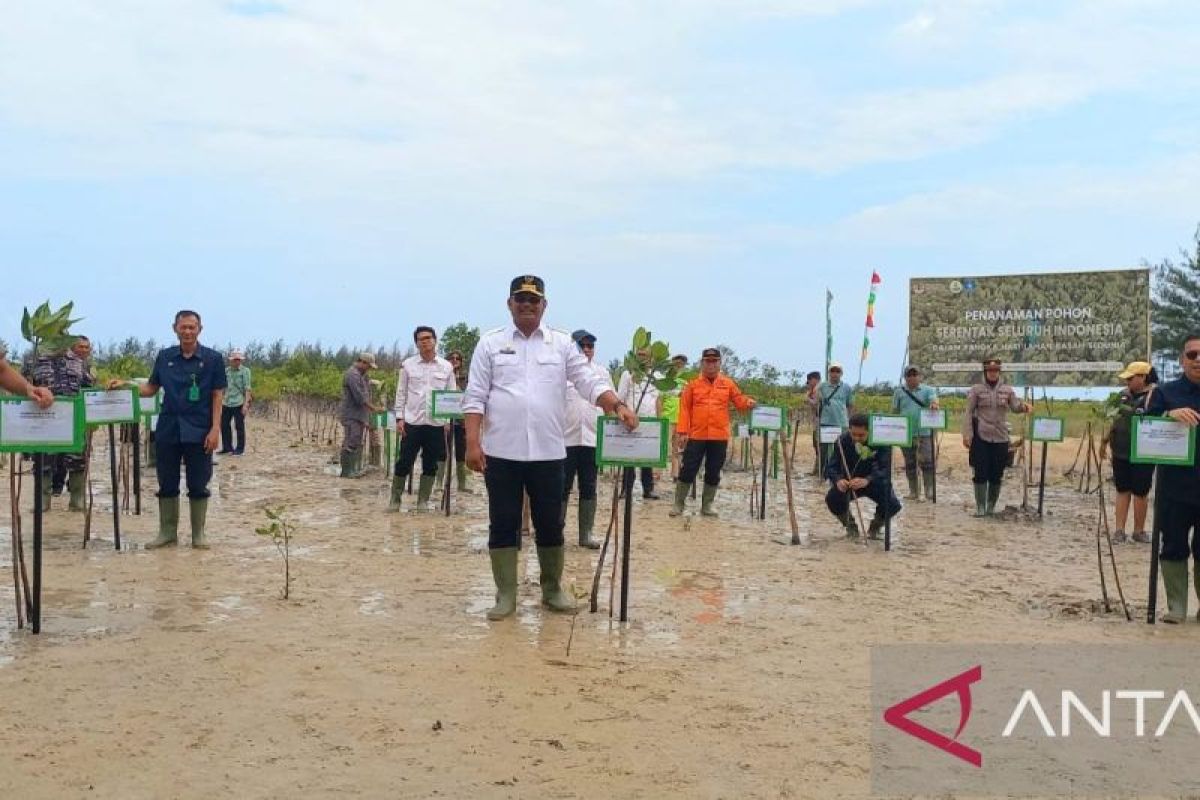 Berhasil rehab mangrove di hamparan 70 hektare, Babel bisa jadi role model