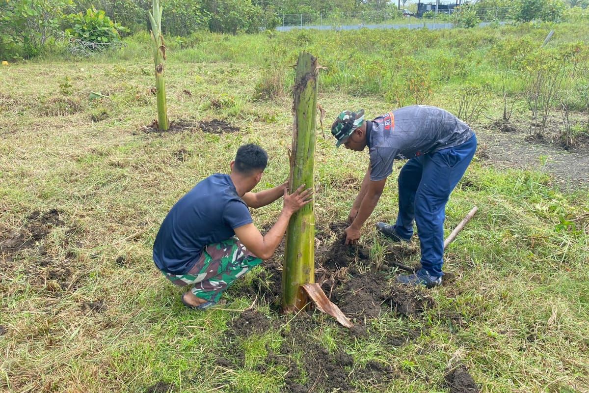 Lanal Ranai Natuna manfaatkan lahan tidur untuk menanam padi gogo