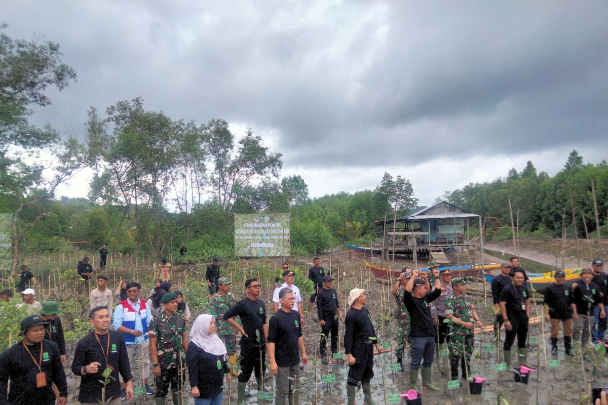 KLHK tanam mangrove peringati Hari Lahan Basah Sedunia di Tarakan