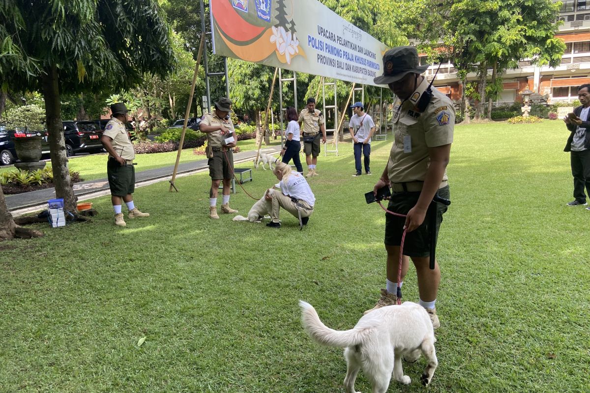 Satpol PP Pariwisata Bali dilengkapi anjing lokal sahabat wisatawan