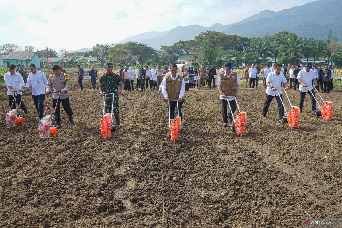 Aceh tanami 60 ribu hektare bibit jagung dari Menteri Pertanian di daerah sentral