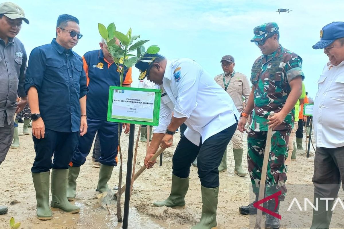 Peringati Hari Lahan Basah Sedunia, KLHK RI dan BGRM Tanam Mangrove di Kawasan Pantai Batu Tunggal-Bangka