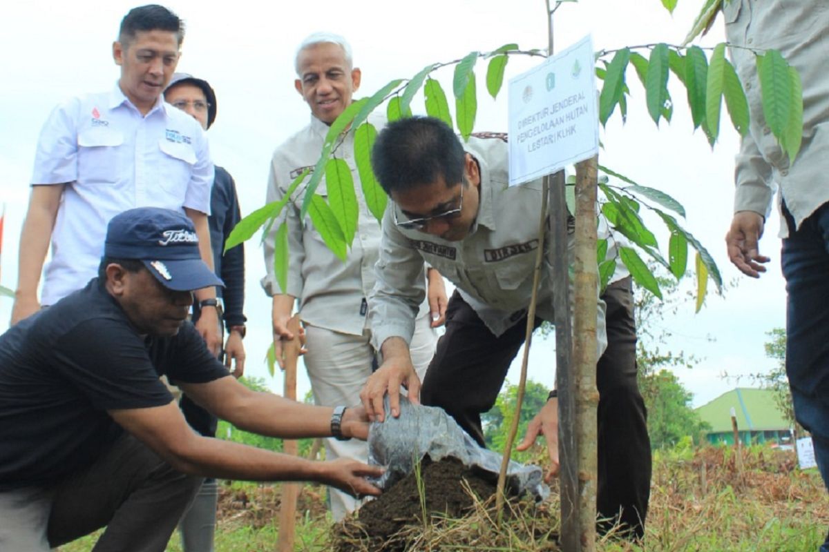 Pemprov Kalbar tanam 1.200 pohon pada Hari Lahan Basah Sedunia