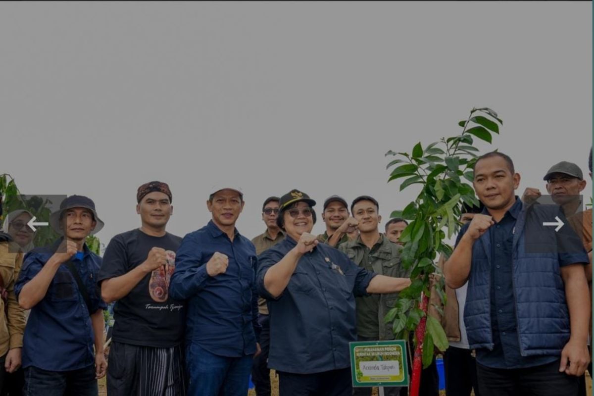 Menteri LHK pimpin penanaman 1.000 pohon di Cianjur