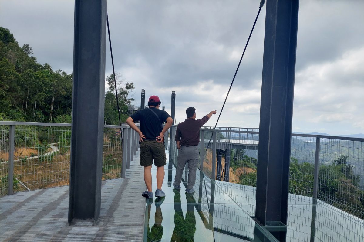 Wisatawan Indonesia kagumi jembatan kaca di Kinabalu