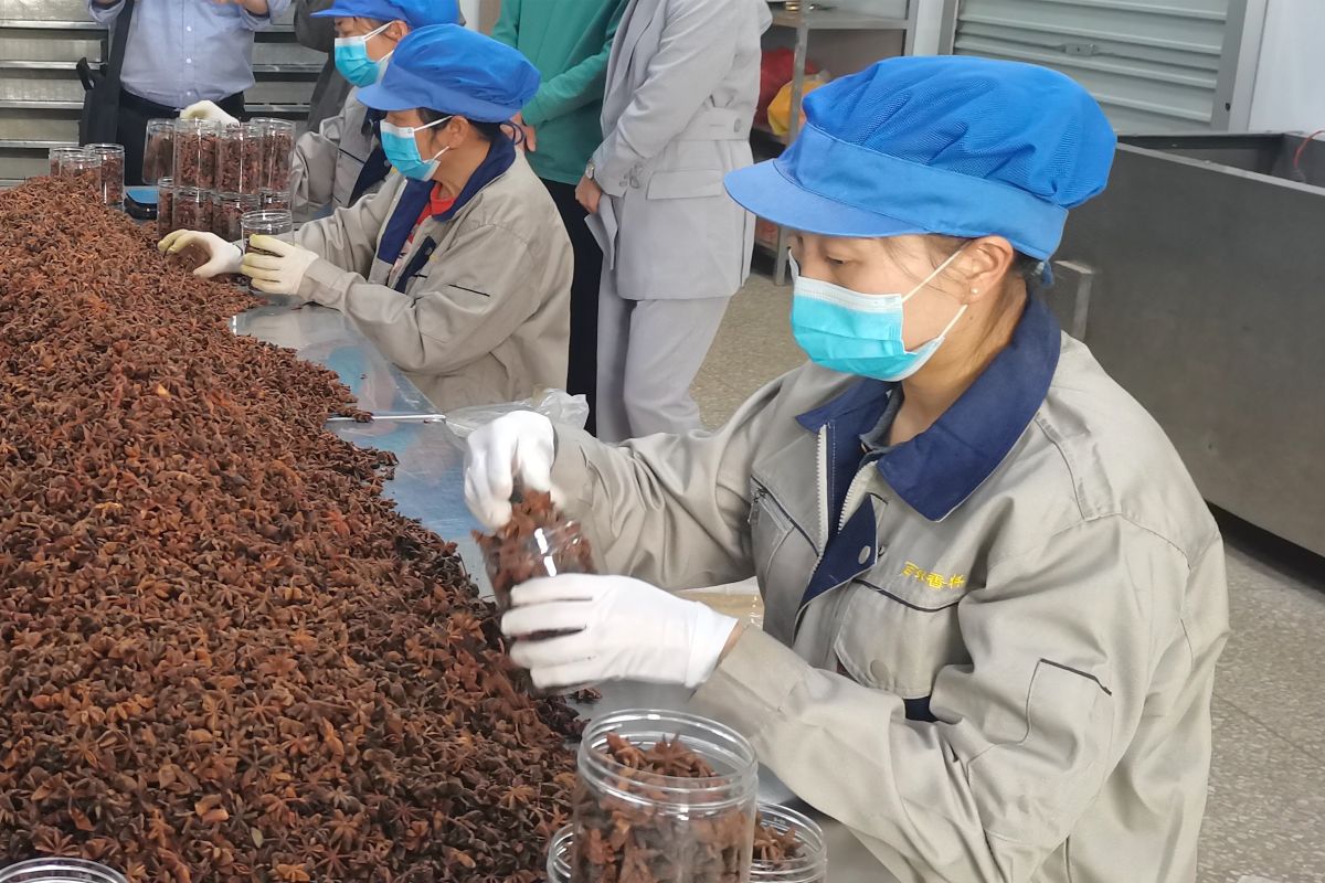 Pedagang China bidik peluang komersial rempah-rempah dari Indonesia