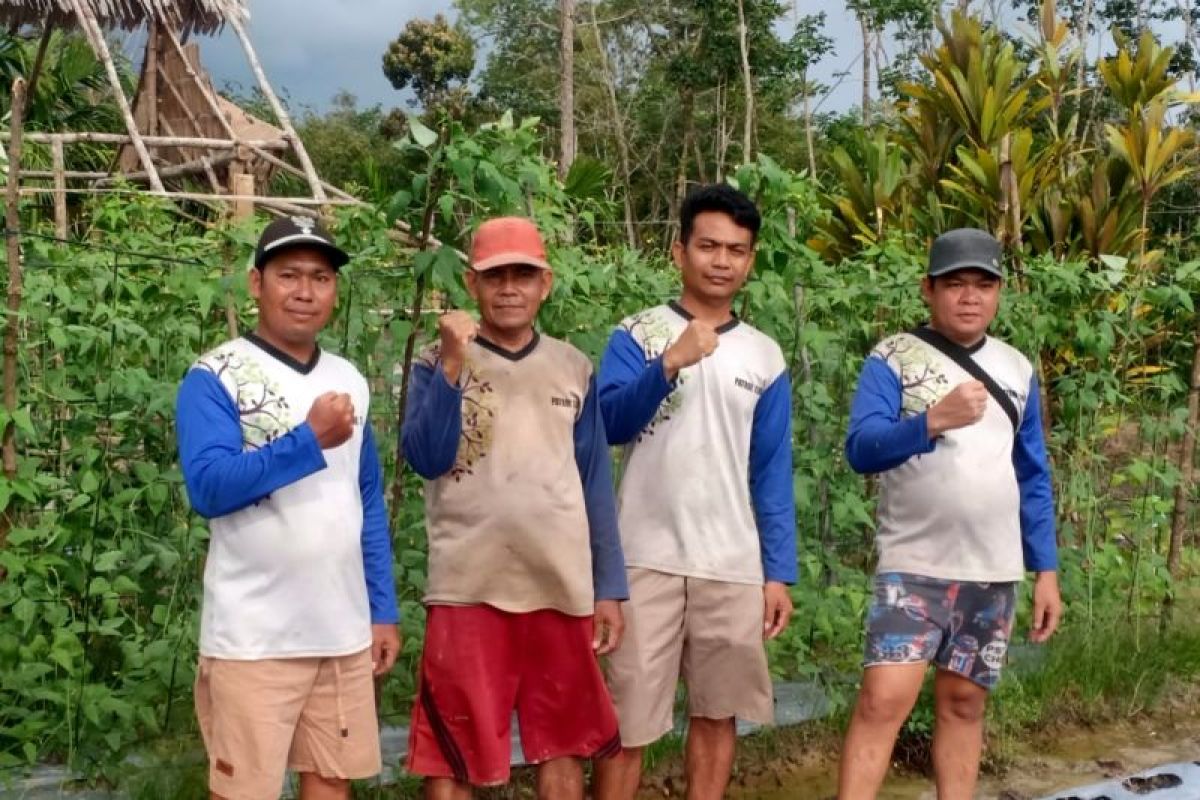 Petani Kayong Utara tanam beragam tanaman sekaligus menjaga hutan