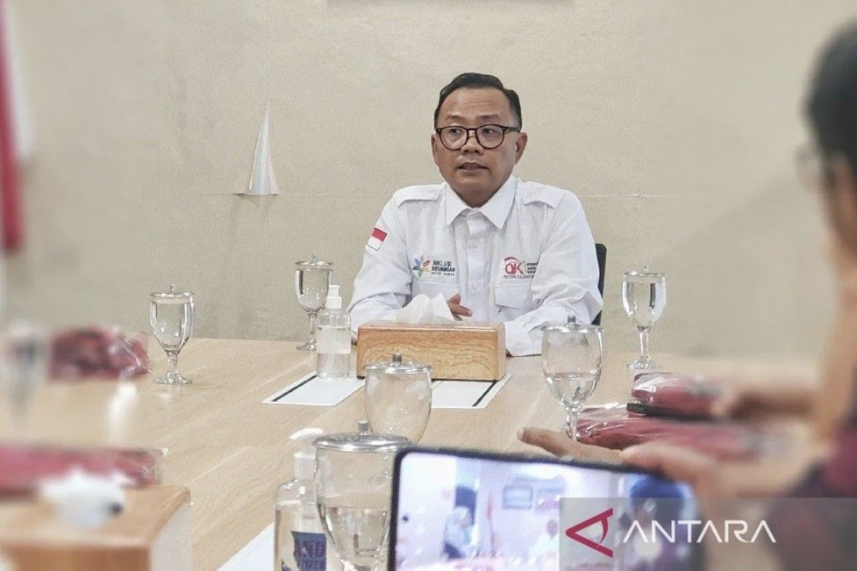 OJK: Inovasi program daerah dukung perkembangan ekonomi di Kalteng