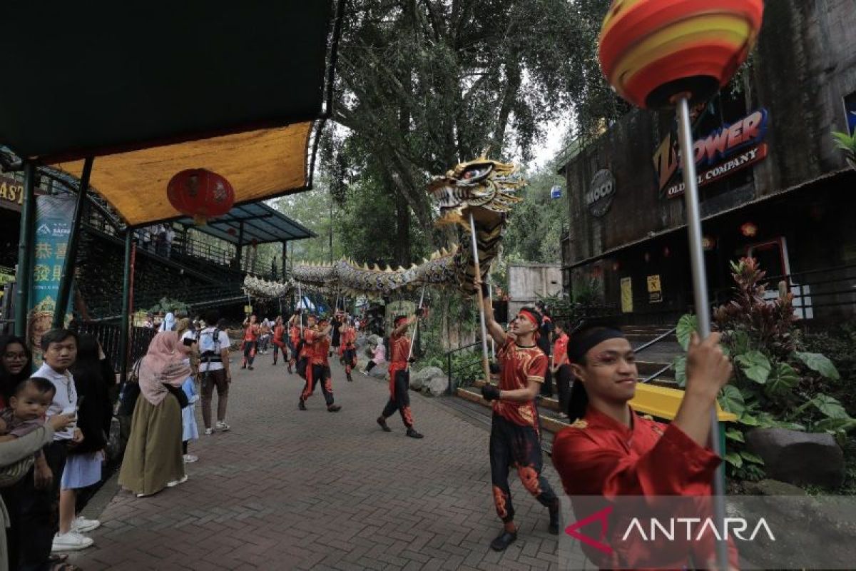 Taman Safari Bogor meriahkan Imlek 2024 dengan Parade "Year of Dragon"