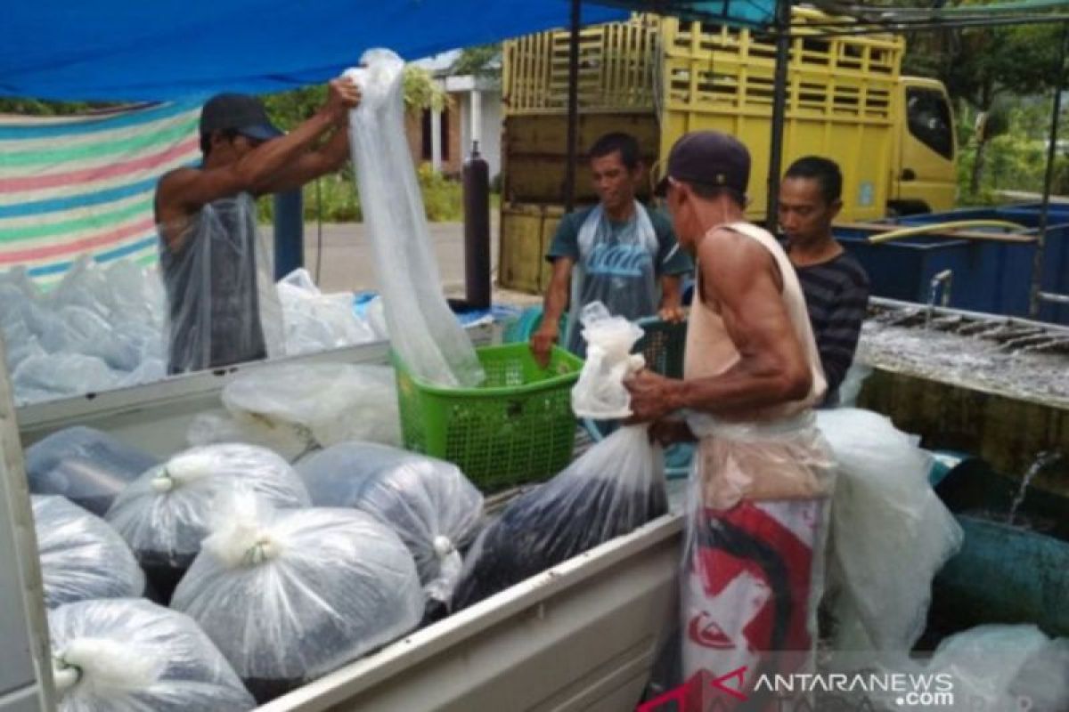 Produksi ikan di Agam capai 30.660,68 ton selama 2023