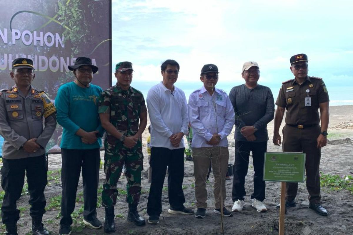 Pemkot Pariaman sambut positif Kementerian LHK tanam pohon di objek wisata