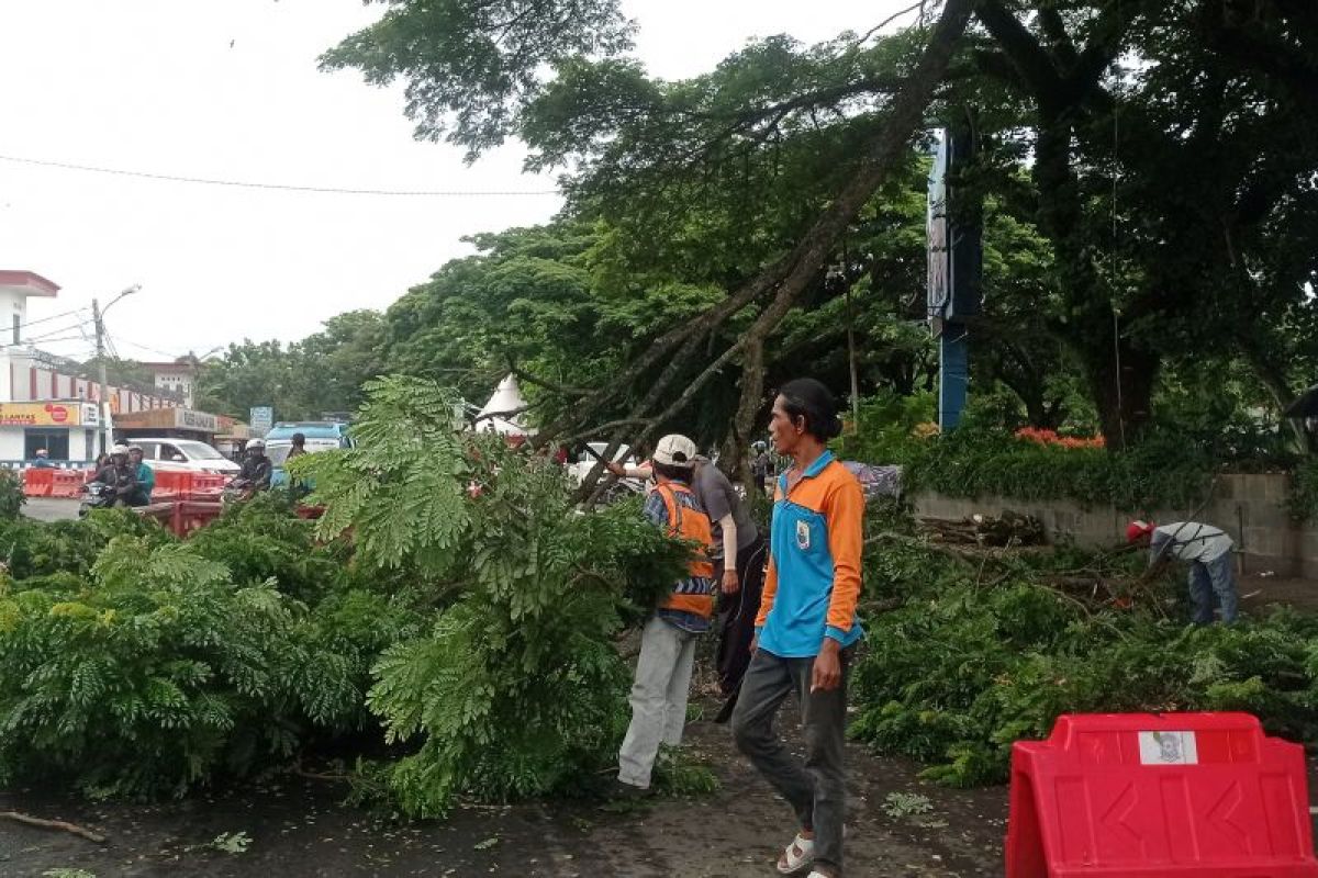 BMKG: Lima daerah Banten hujan lebat disertai angin kencang 