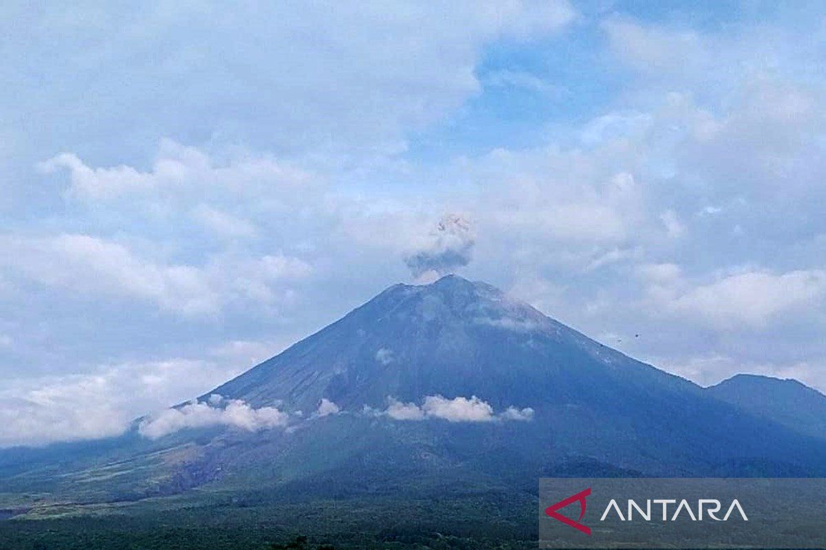 Gunung Semeru dua kali erupsi dengan letusan setinggi 800 meter