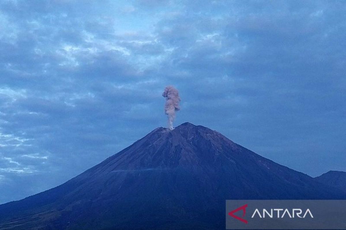 Gunung Semeru kembali erupsi dengan letusan setinggi 1 km