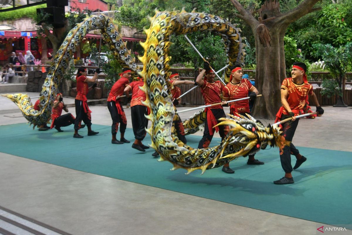 Meriahkan Imlek 2024, Taman Safari Bogor tampilkan Parade "Year of Dragon"