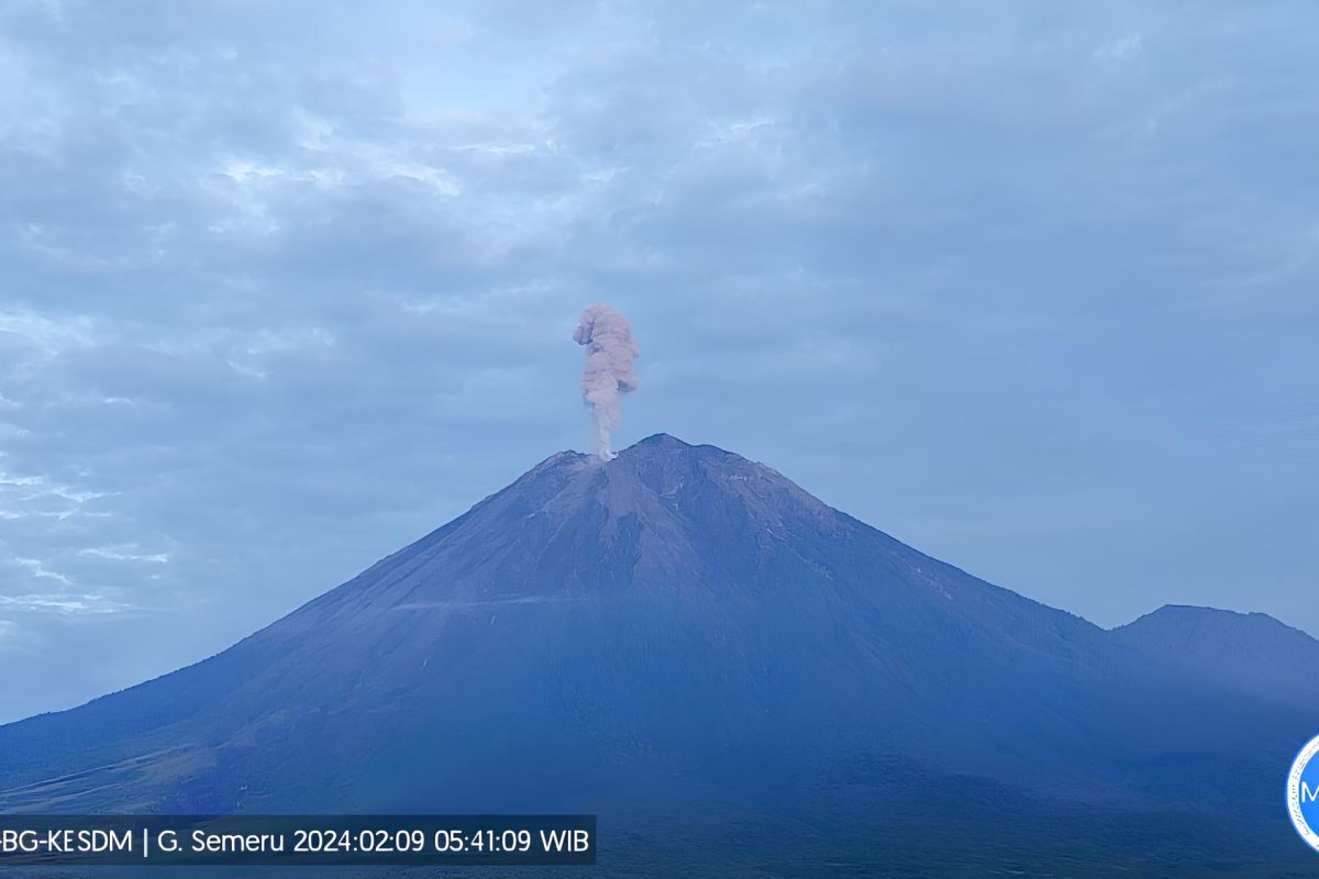 Mount Semeru experiences hundreds of seismic activities in single day