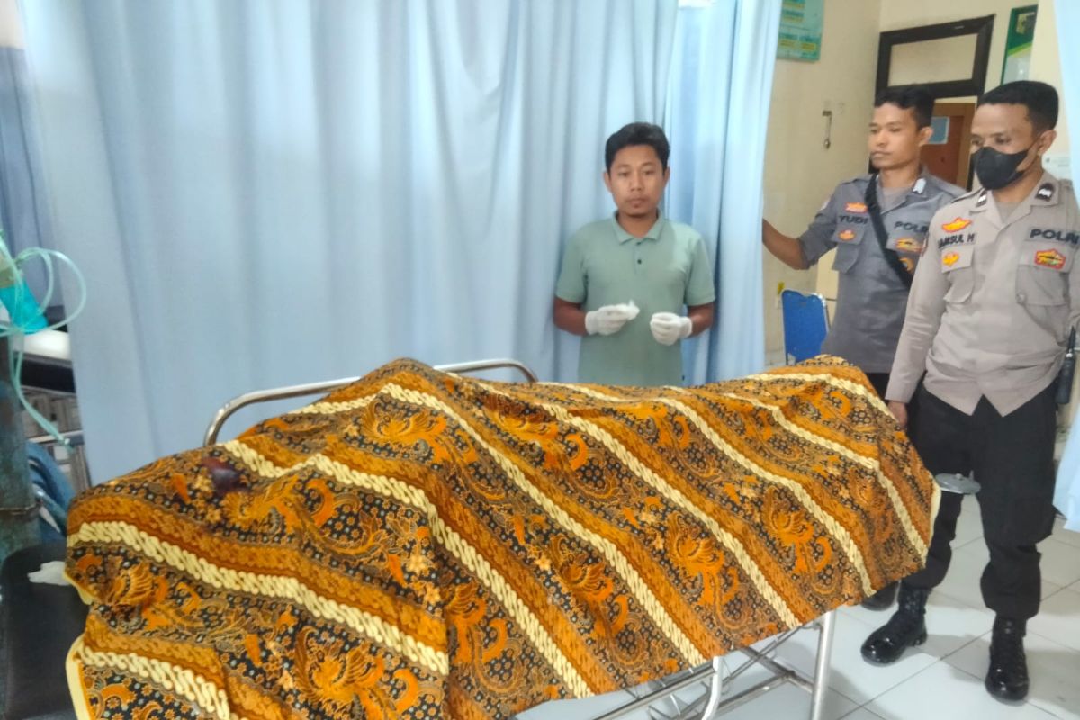 Pengendara sepeda motor tewas tertimpa pohon di Lombok Timur