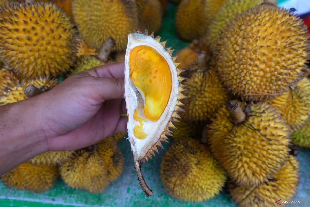 Kirab budaya  meriahkan Festival Durian Semarang 2024