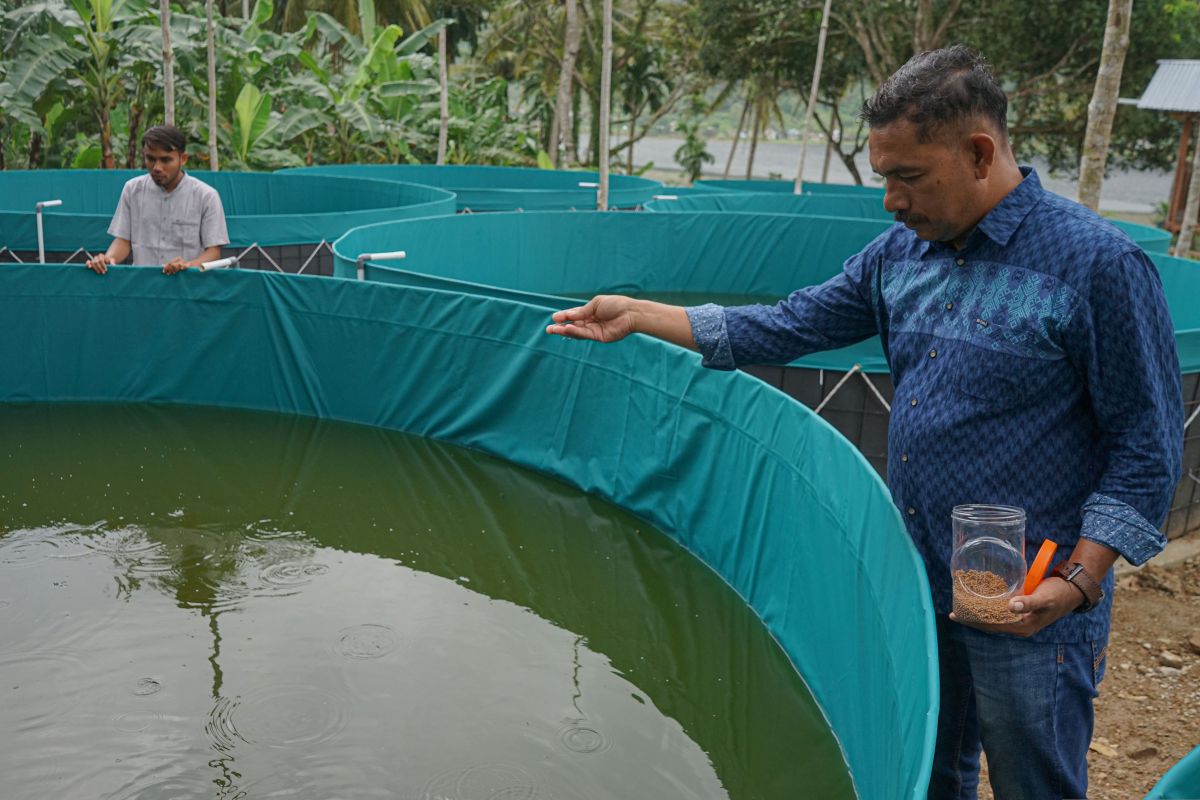 FOTO - Budi daya ikan sistem bioflok dari dana desa di Sabang