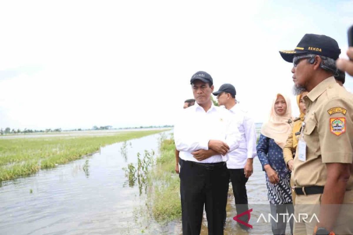 Mentan bantu sarana pertanian korban banjir di Jateng Rp30 miliar