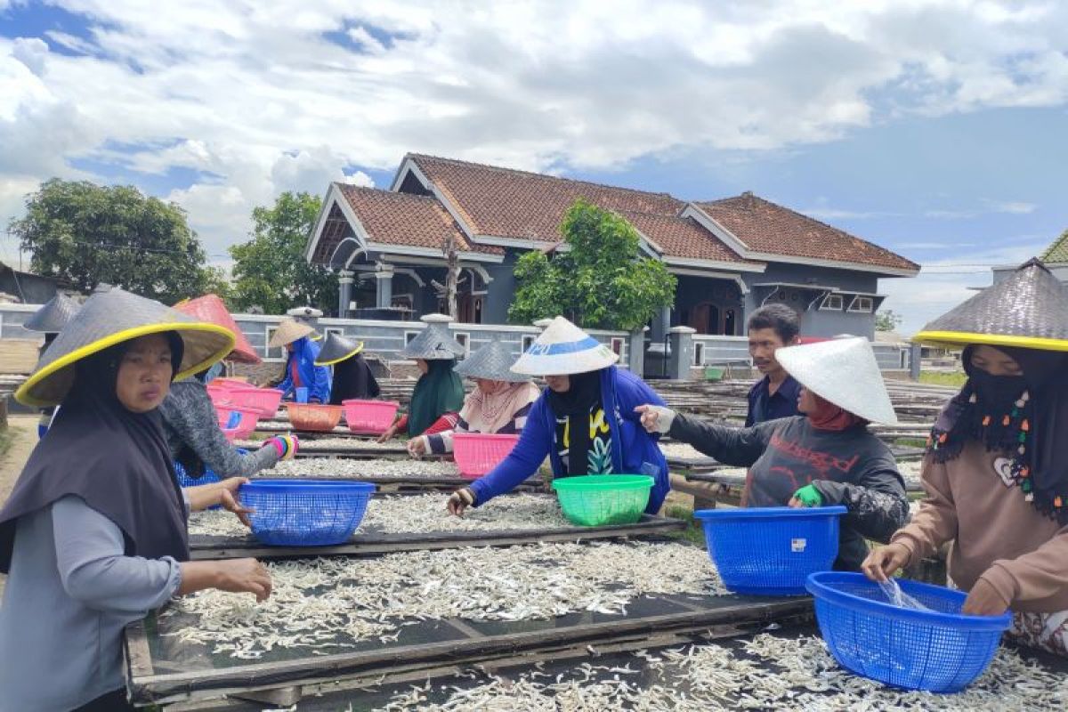 BKIPM Lampung catat AS masih jadi tujuan ekspor ikan di 2023