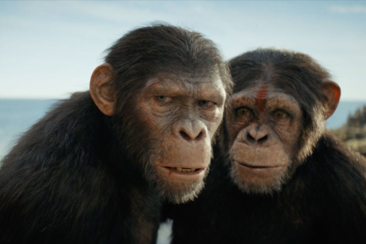 Film "Kingdom of the Planet of the Apes" wajib ditonton