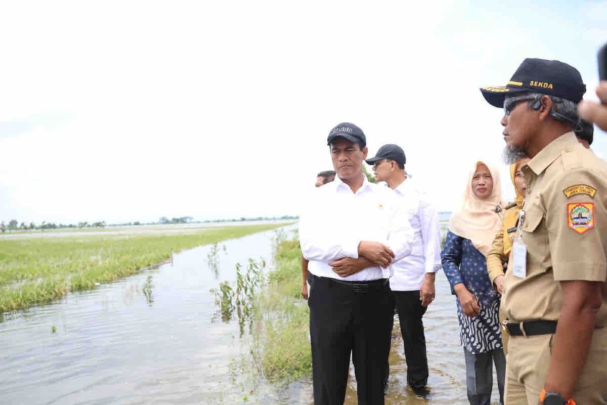 Mentan Andi Amran bantu sarana pertanian korban banjir di Jateng Rp30 miliar
