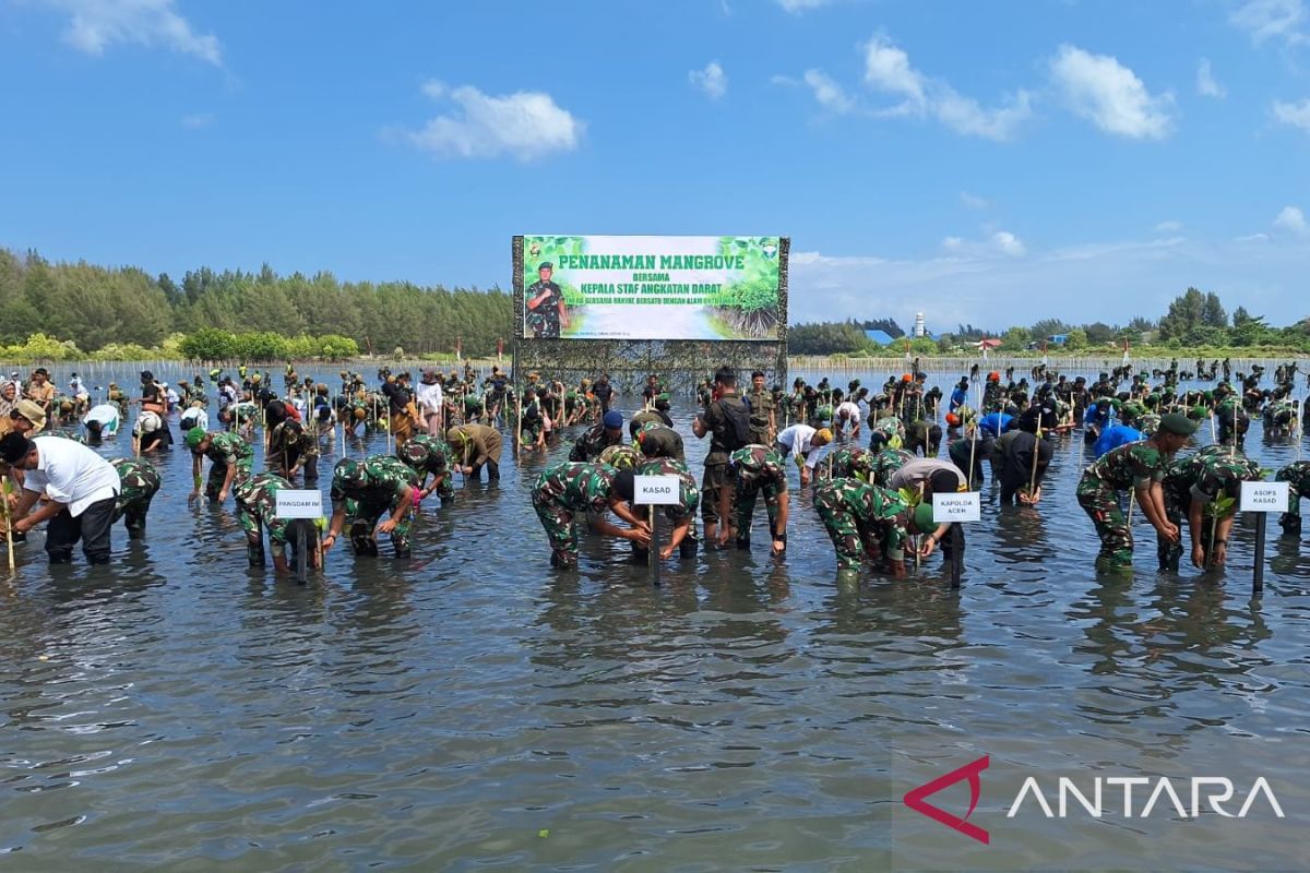 KASAD pimpin penanaman serentak 64.500 Bibit mangrove di Aceh