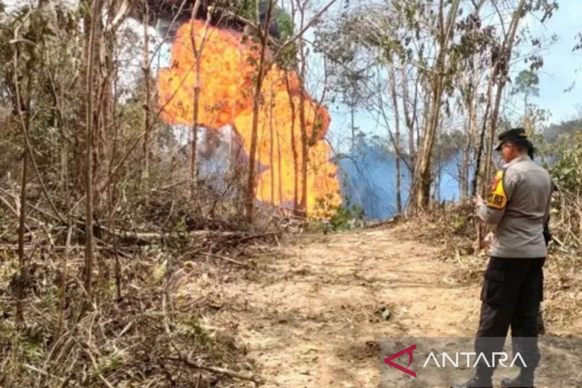 Polres Batanghari tahan tiga tersangka kasus terbakar sumur minyak ilegal di hutan lindung Tahura