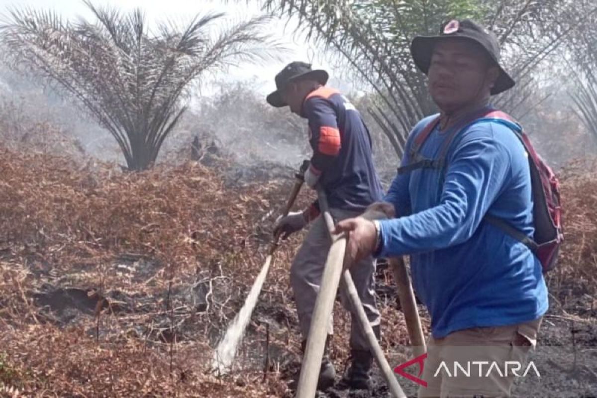 Lahan gambut Aceh Barat terbakar saat hari pemungutan suara, personel BPBD langsung dikerahkan