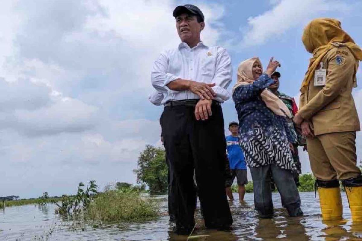 Mentan koordinasi dengan Kemen PUPR atasi lahan pertanian Jateng kebanjiran