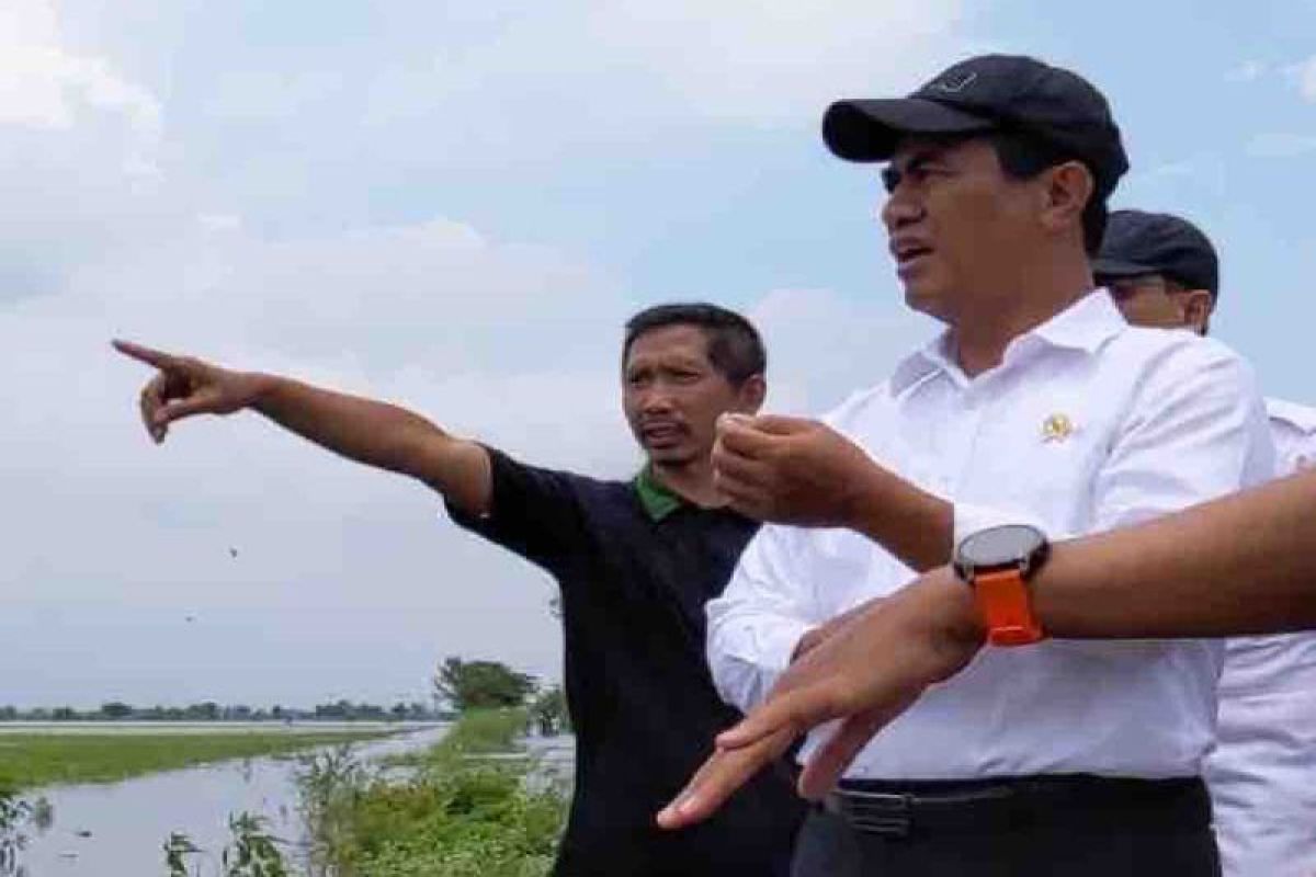 Mentan mengajak semua pihak bantu petani terdampak banjir di Jateng