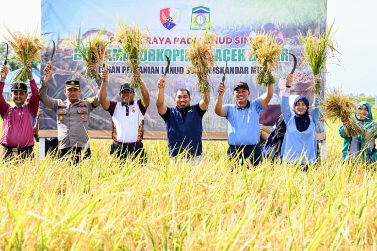 Pemkab ajak masyarakat Aceh Besar manfaatkan lahan kosong