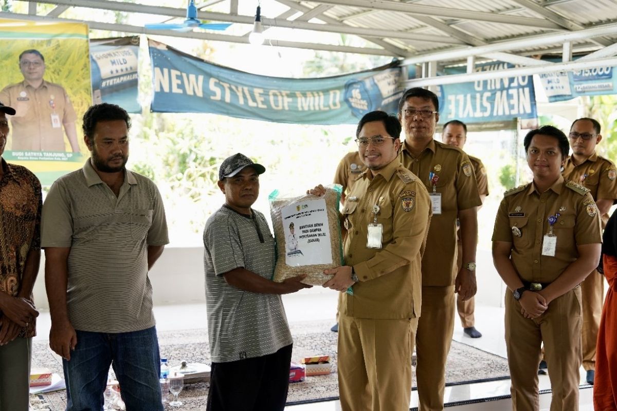 Pemkab HST beri bantuan benih padi bagi petani terdampak banjir