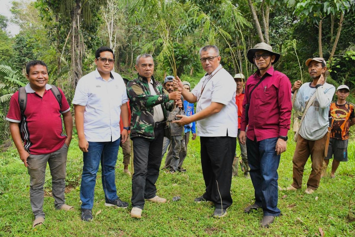 Dibantu Bibit Semen Padang, kelompok tani Tanjung Gadang tanam 10.000 kaliandra merah