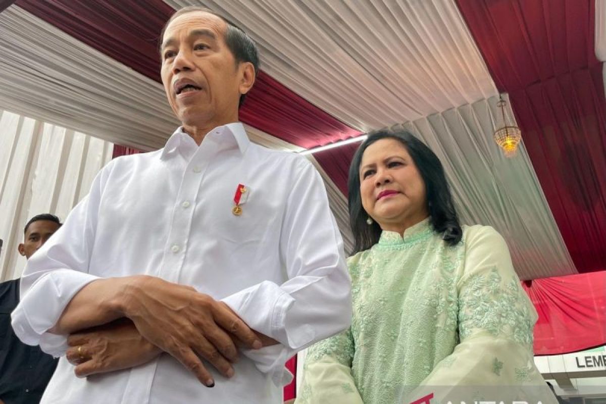 Jokowi: Kenaikan harga beras disebabkan gangguan distribusi