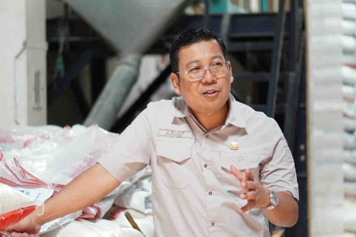 185,000 tons of rice aid disbursed as of Feb: Bapanas