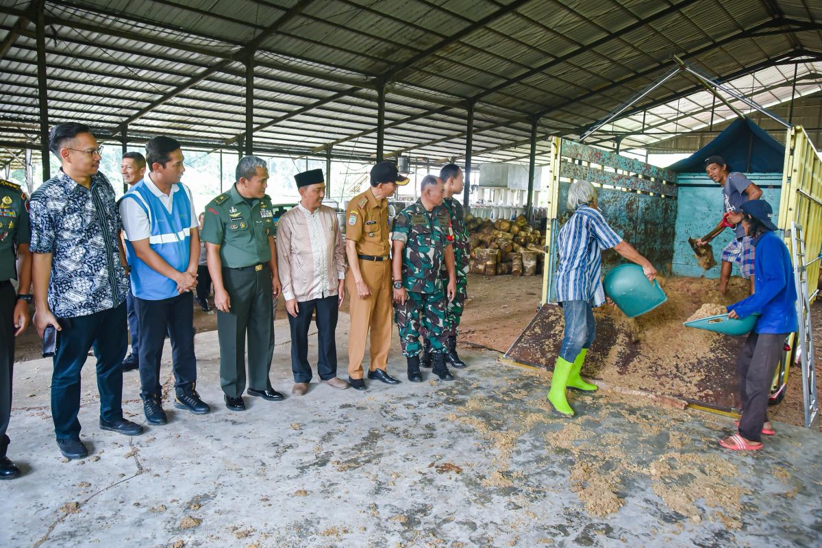 PLN EPI manfaatkan limbah tepung aren untuk uji cofiring PLTU