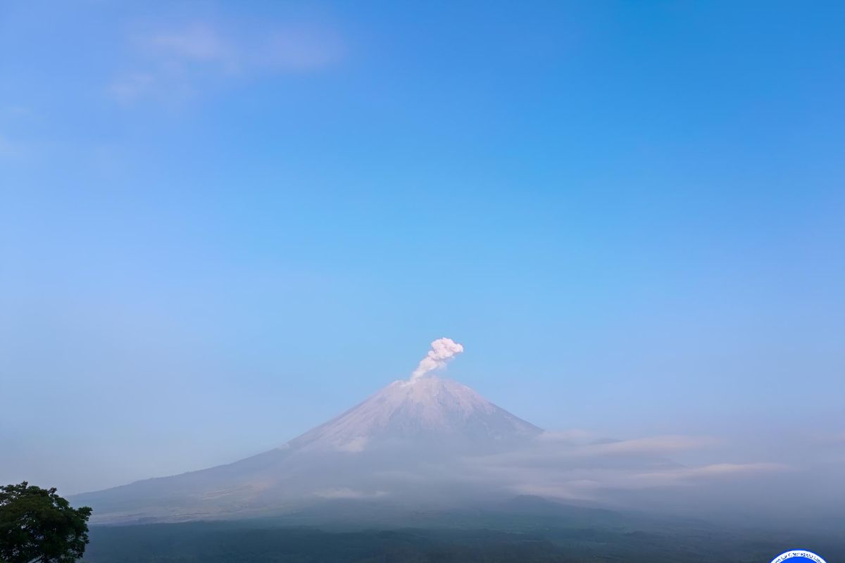 Gunung Semeru lontarkan abu setinggi 1.000 meter ke timur laut