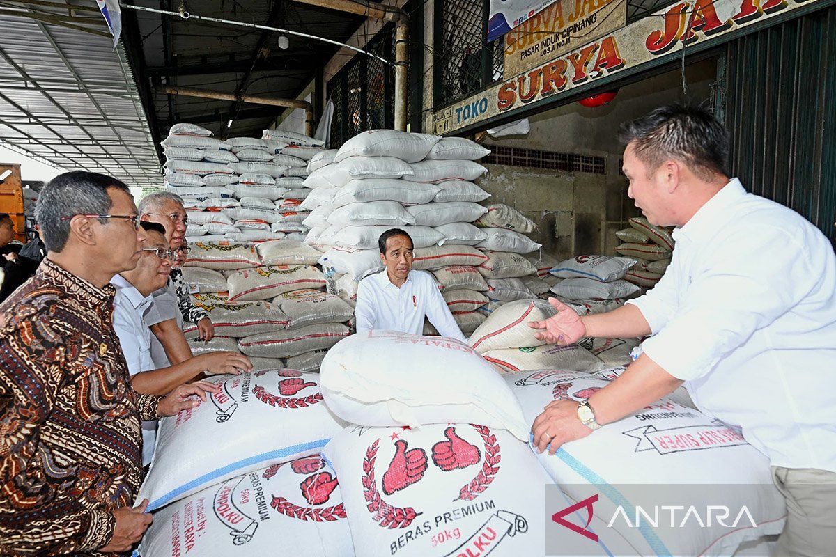 Presiden sebut bansos pangan bantu kendalikan harga beras