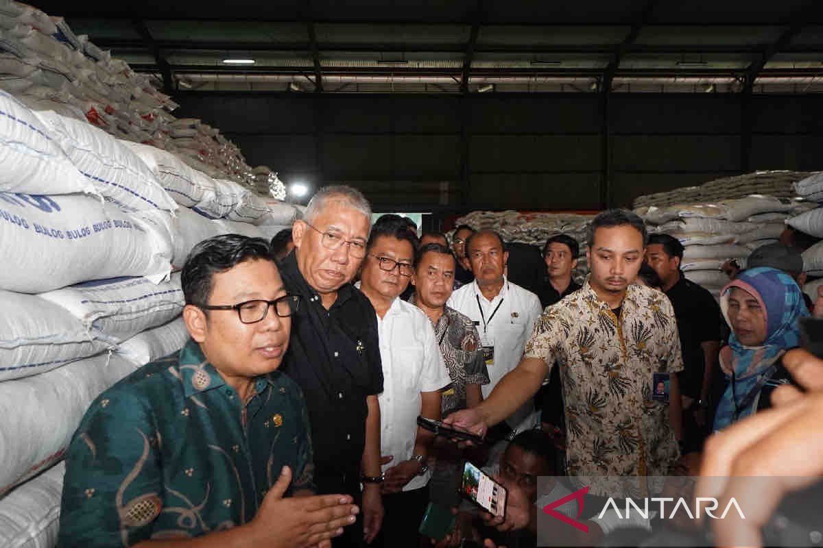 Bapanas pastikan keseimbangan pada semua lini rantai pasok pangan