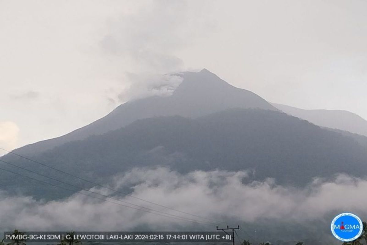 PVMBG merekam getaran banjir lahar hujan dari Gunung Lewotobi Laki-laki