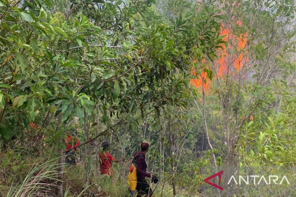 Dishut Maluku padamkan kebakaran hutan di kawasan Leahari seluas dua hektar