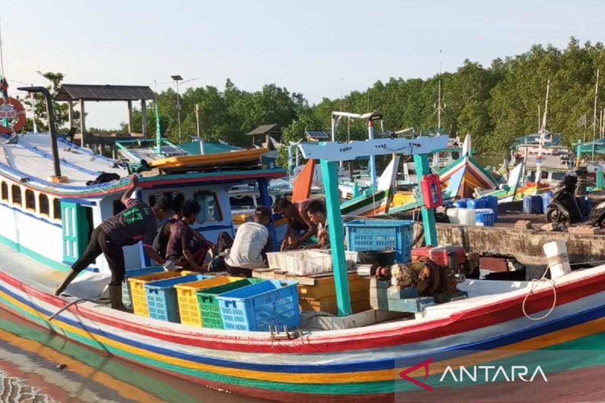 Pasokan ikan segar di Pangkalpinang naik lagi